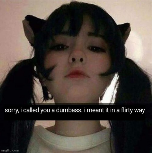 Sorry i called you a dumbass | image tagged in sorry i called you a dumbass | made w/ Imgflip meme maker