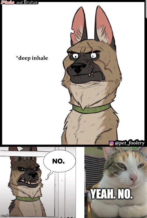 Doggo said no; cat also no. | YEAH. NO. | image tagged in not funny,boring,politics,political meme,cat memes,nope | made w/ Imgflip meme maker
