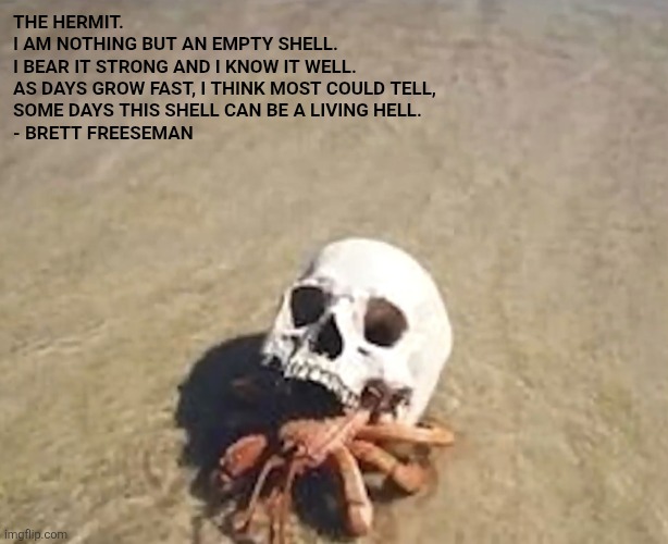 The Hermit | THE HERMIT.
I AM NOTHING BUT AN EMPTY SHELL. 
I BEAR IT STRONG AND I KNOW IT WELL.
AS DAYS GROW FAST, I THINK MOST COULD TELL,
SOME DAYS THIS SHELL CAN BE A LIVING HELL. 
- BRETT FREESEMAN | image tagged in hermit crab,loner,psychology,poetry,do men even have feelings | made w/ Imgflip meme maker
