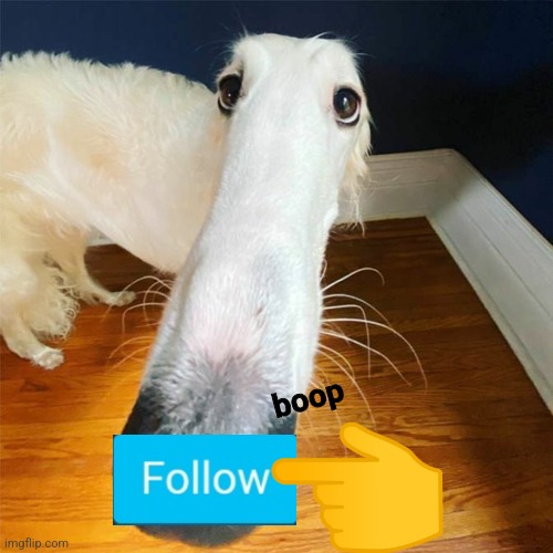 Let me do it for you... | boop | image tagged in let me do it for you | made w/ Imgflip meme maker