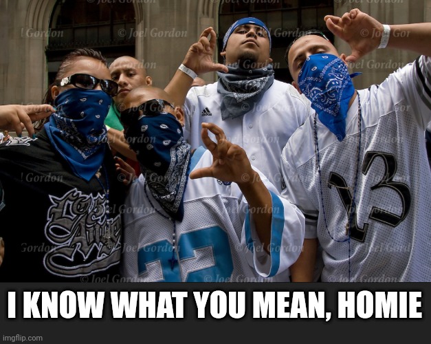 I KNOW WHAT YOU MEAN, HOMIE | made w/ Imgflip meme maker