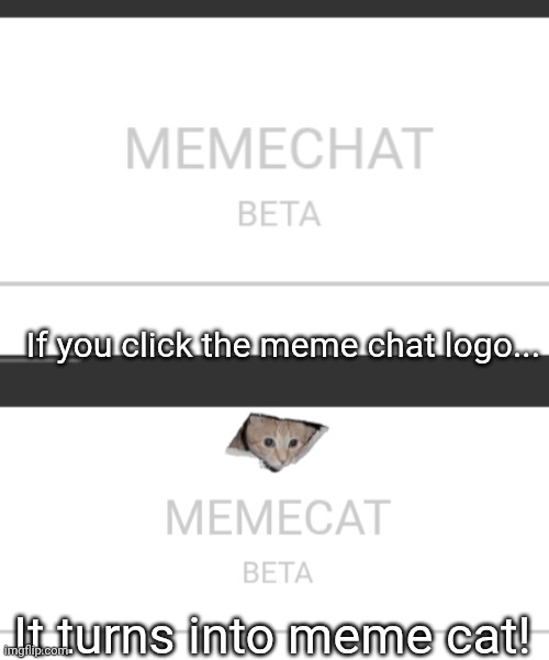 I'm sure I'm not the first person to discover this | If you click the meme chat logo... It turns into meme cat! | image tagged in cats,memechat,memecat | made w/ Imgflip meme maker