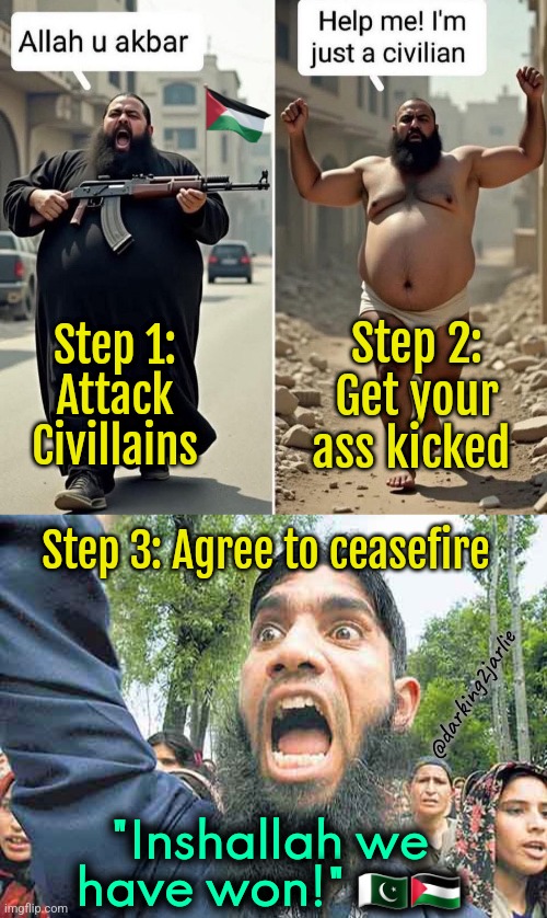 The Jihadi Playbook #Victimcard | Step 2: Get your ass kicked; Step 1: Attack Civillains; Step 3: Agree to ceasefire; @darking2jarlie; "Inshallah we have won!" 🇵🇰🇵🇸 | image tagged in angry jihadi,islam,islamic terrorism,palestine,israel,pakistan | made w/ Imgflip meme maker