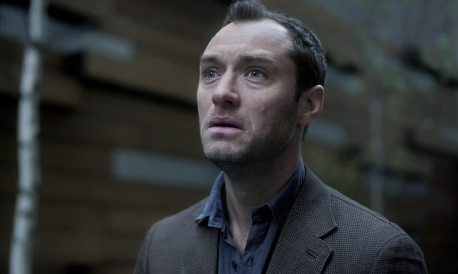 Sad Jude Law Blank Meme Template
