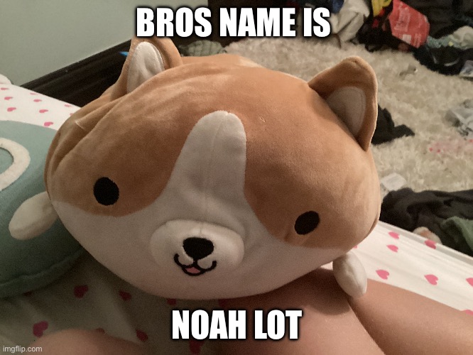BROS NAME IS; NOAH LOT | made w/ Imgflip meme maker