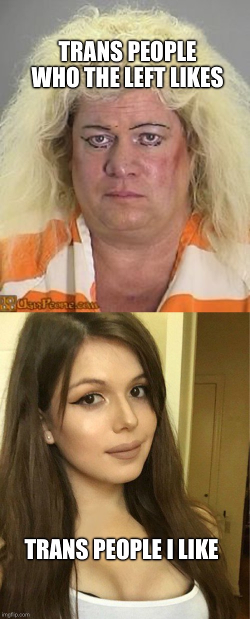 Duh preference | TRANS PEOPLE WHO THE LEFT LIKES; TRANS PEOPLE I LIKE | image tagged in ugly man woman wig,blaire white | made w/ Imgflip meme maker