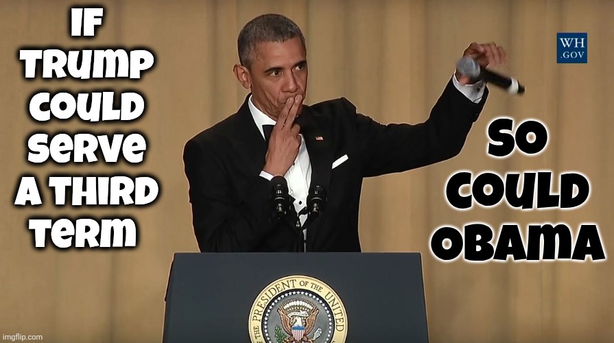 The 22nd AMENDMENT To The United States CONSTITUTION Limits Presidential Terms To Two.  This Amendment Was Ratified In 1951 | If
Trump
could
serve
a third
term; So could Obama | image tagged in barack obama mic drop,22 amendment,the constitution,term limits,what maga thinks vs reality,memes | made w/ Imgflip meme maker