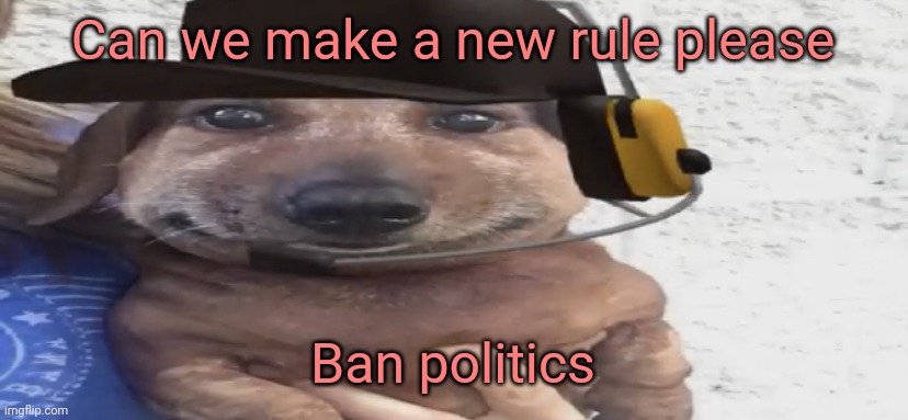 That way manticore will stop spamming unfunny political shit | Can we make a new rule please; Ban politics | image tagged in chucklenuts | made w/ Imgflip meme maker