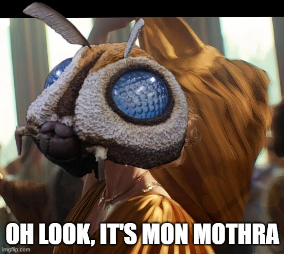 Savior of the Galaxy | OH LOOK, IT'S MON MOTHRA | image tagged in star wars,mon mothma | made w/ Imgflip meme maker
