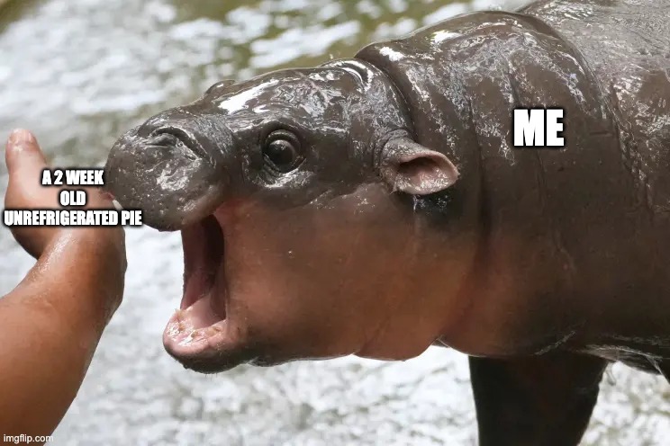 happy mother's day | ME; A 2 WEEK OLD UNREFRIGERATED PIE | image tagged in moo deng nom | made w/ Imgflip meme maker