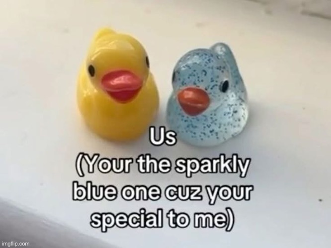 Me and absolutely no one from here | made w/ Imgflip meme maker
