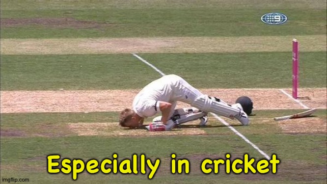 Cricket | Especially in cricket | image tagged in cricket | made w/ Imgflip meme maker