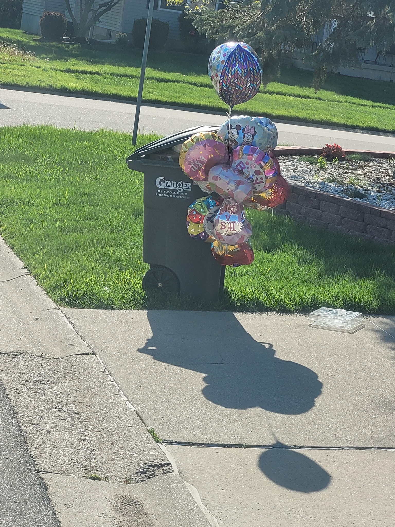 balloons garbage can Blank Meme Template