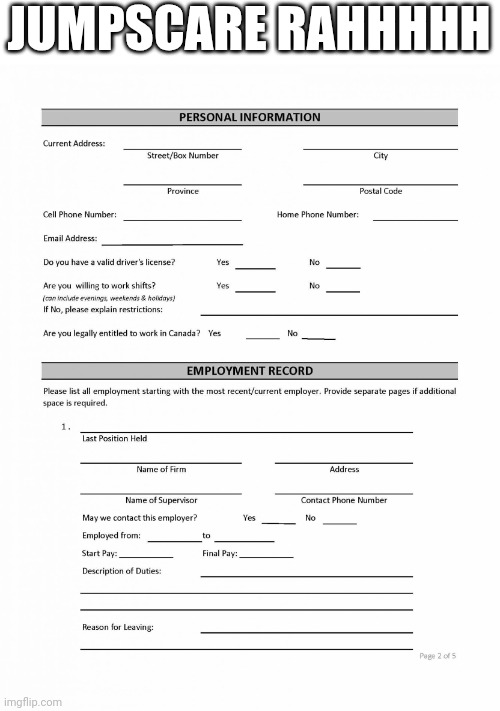 Job Application Blank | JUMPSCARE RAHHHHH | image tagged in job application blank | made w/ Imgflip meme maker