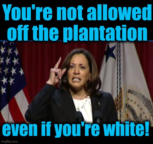 You're not allowed
off the plantation even if you're white! | image tagged in blank black,kamala angry | made w/ Imgflip meme maker