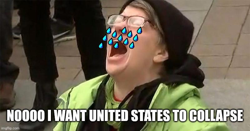 crying liberal | NOOOO I WANT UNITED STATES TO COLLAPSE | image tagged in crying liberal | made w/ Imgflip meme maker