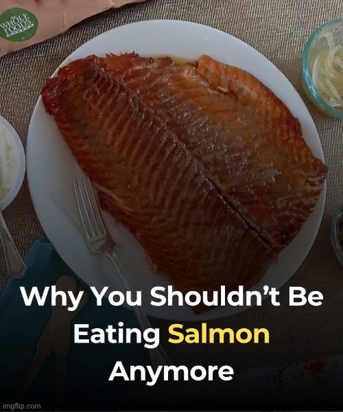 Yeah, fish-eaters | made w/ Imgflip meme maker