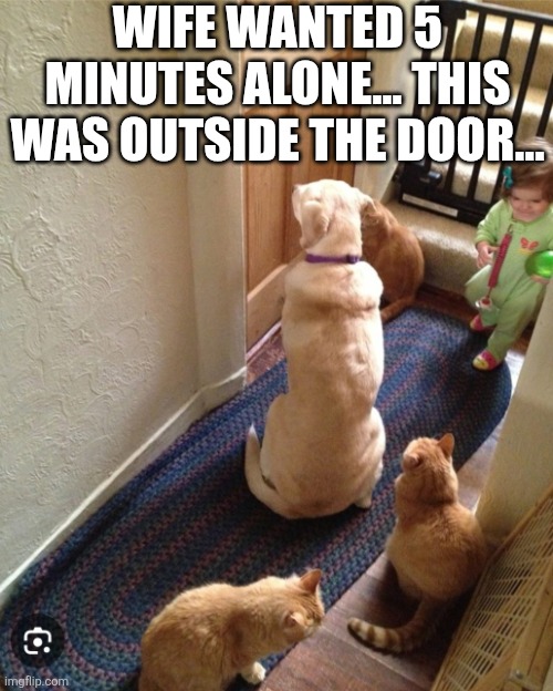 Wife Wanted 5 Minutes Alone... This Was Outside The Door... | WIFE WANTED 5 MINUTES ALONE... THIS WAS OUTSIDE THE DOOR... | image tagged in chrisjoines1 | made w/ Imgflip meme maker