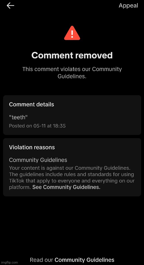 Tiktok moderation | made w/ Imgflip meme maker