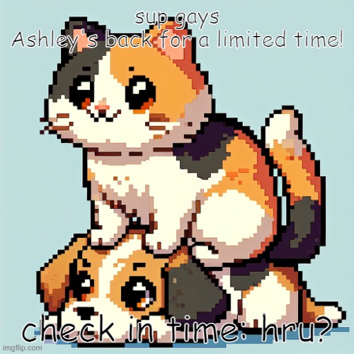 if you do not have tumblr you will never see me again | sup gays
Ashley's back for a limited time! check in time: hru? | image tagged in calico cat sitting on a puppy's head | made w/ Imgflip meme maker