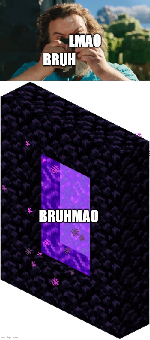 LMAO; BRUH; BRUHMAO | image tagged in it's flint and steel,nether portal | made w/ Imgflip meme maker