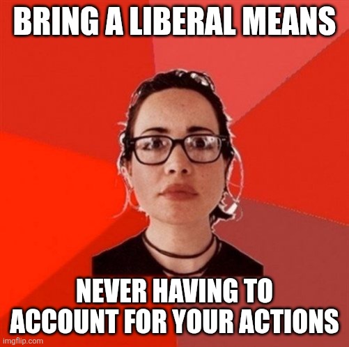 Liberal Douche Garofalo | BRING A LIBERAL MEANS NEVER HAVING TO ACCOUNT FOR YOUR ACTIONS | image tagged in liberal douche garofalo | made w/ Imgflip meme maker