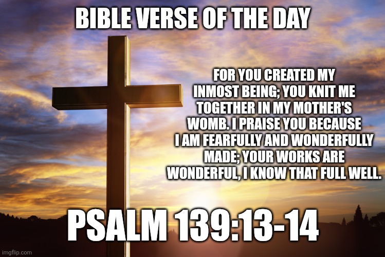 Happy mother's day | BIBLE VERSE OF THE DAY; FOR YOU CREATED MY INMOST BEING; YOU KNIT ME TOGETHER IN MY MOTHER'S WOMB. I PRAISE YOU BECAUSE I AM FEARFULLY AND WONDERFULLY MADE; YOUR WORKS ARE WONDERFUL, I KNOW THAT FULL WELL. PSALM 139:13-14 | image tagged in bible verse of the day,mothers,mothers day,christianity | made w/ Imgflip meme maker