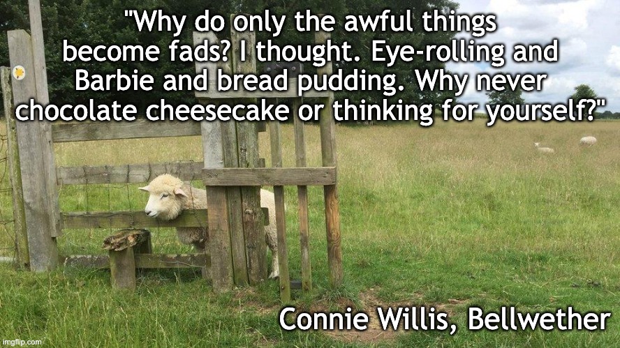 . . . and devious licks, and stupid haircuts . . . | "Why do only the awful things become fads? I thought. Eye-rolling and Barbie and bread pudding. Why never chocolate cheesecake or thinking for yourself?"; Connie Willis, Bellwether | image tagged in sheep with head stuck,fads,humans,sheep | made w/ Imgflip meme maker