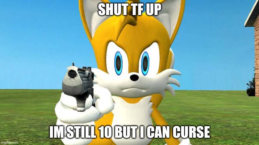 Tails with a Gun | SHUT TF UP IM STILL 10 BUT I CAN CURSE | image tagged in tails with a gun | made w/ Imgflip meme maker