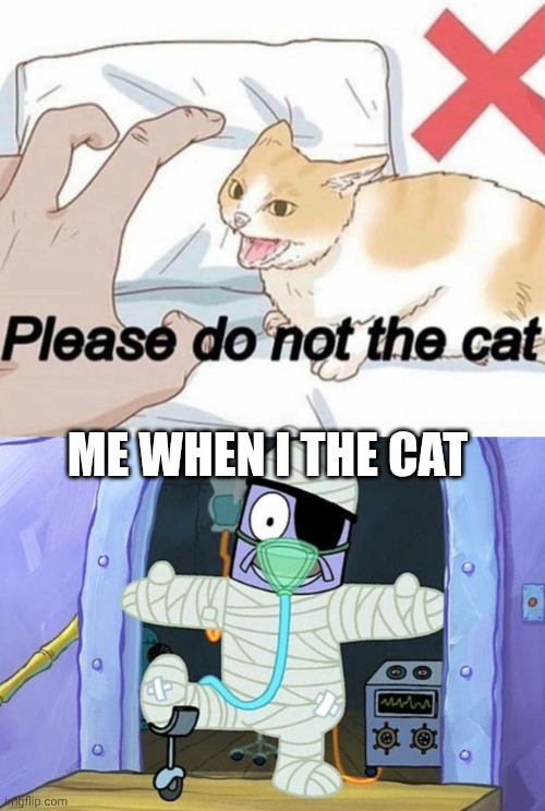 ME WHEN I THE CAT | image tagged in please do not the cat,injury spongebob | made w/ Imgflip meme maker