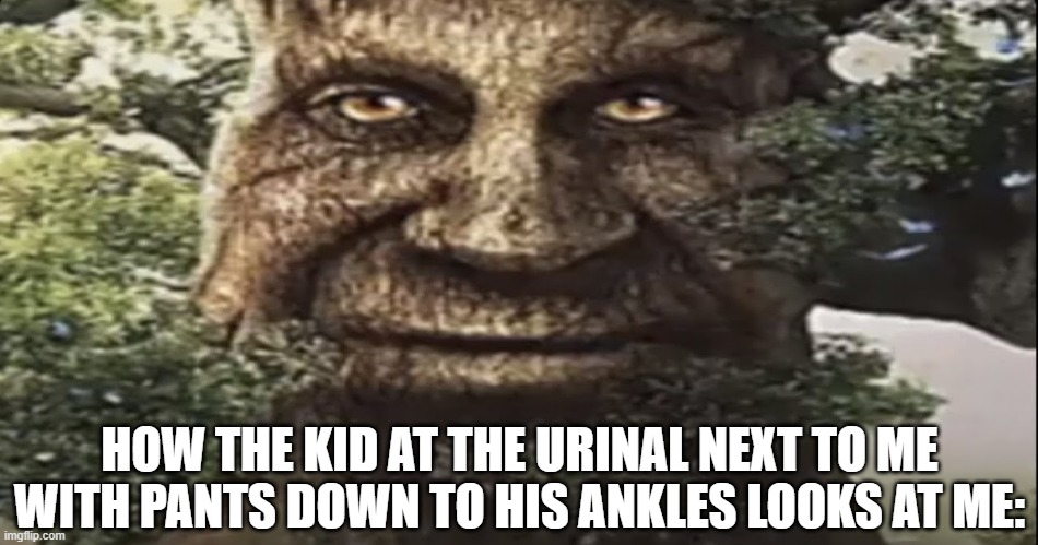 (._.) | HOW THE KID AT THE URINAL NEXT TO ME WITH PANTS DOWN TO HIS ANKLES LOOKS AT ME: | image tagged in wise mystical tree,funny,fun,relatable,relatable memes,haha | made w/ Imgflip meme maker