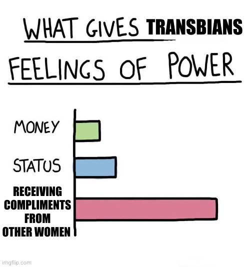 What gives X feelings of power | TRANSBIANS; RECEIVING COMPLIMENTS FROM OTHER WOMEN | image tagged in what gives x feelings of power | made w/ Imgflip meme maker