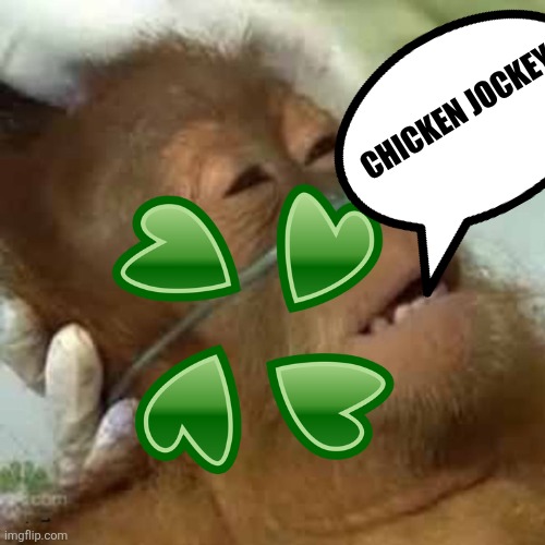 4chans last words before site got hacked | CHICKEN JOCKEY | image tagged in dying orangutan,4chan,chicken jockey | made w/ Imgflip meme maker