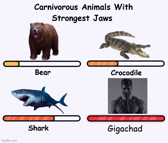 Gigachad is the most carnivorous animal | Gigachad | image tagged in carnivorus animals with strongest jaws | made w/ Imgflip meme maker