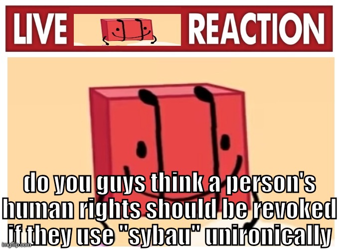Live boky reaction | do you guys think a person's human rights should be revoked if they use "sybau" unironically | image tagged in live boky reaction | made w/ Imgflip meme maker