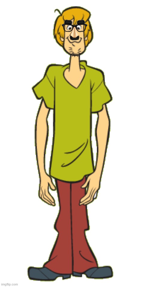 Shaggy with Musrache and glasses disguise | image tagged in shaggy rogers,mustache,glasses,disguise,scooby doo,funny | made w/ Imgflip meme maker