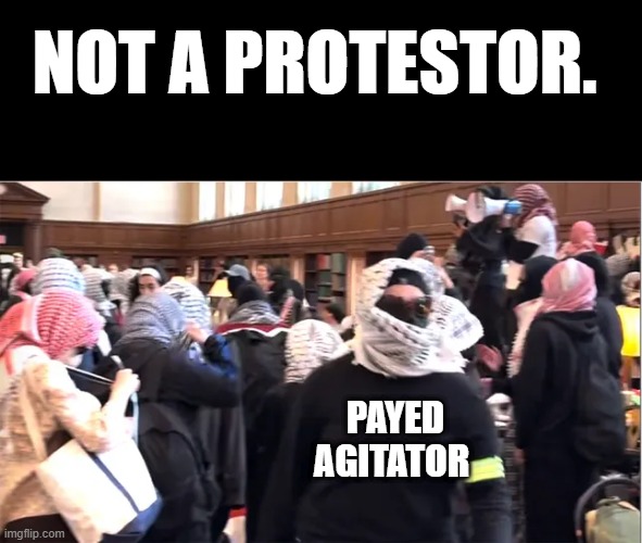 They only do it because they get paid, soon as the money dries up so will they. | NOT A PROTESTOR. PAYED AGITATOR | made w/ Imgflip meme maker