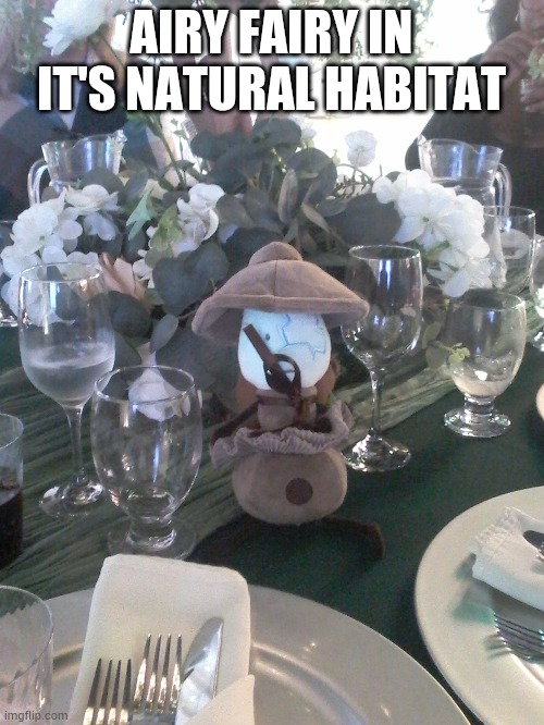 Queer prom was so fire | AIRY FAIRY IN IT'S NATURAL HABITAT | made w/ Imgflip meme maker