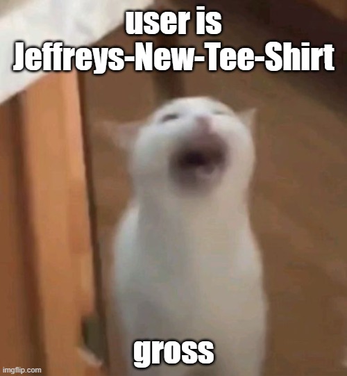 screaming cat | user is Jeffreys-New-Tee-Shirt; gross | image tagged in screaming cat | made w/ Imgflip meme maker