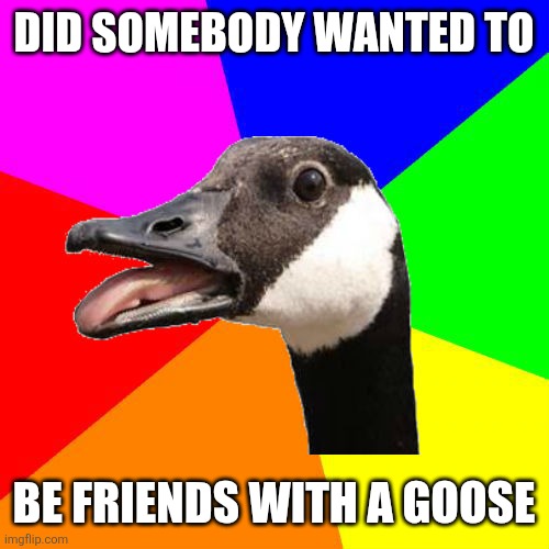 Sexy Canadian Goose | DID SOMEBODY WANTED TO BE FRIENDS WITH A GOOSE | image tagged in sexy canadian goose | made w/ Imgflip meme maker