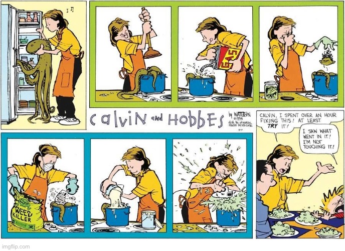 Apparently Calvin’s mom’s cooking wasn’t to his liking… | image tagged in calvin and hobbes,moms cooking,foul stuff | made w/ Imgflip meme maker