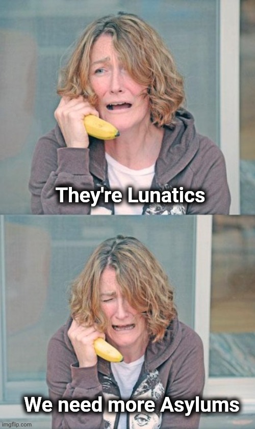 Mental patient | They're Lunatics We need more Asylums | image tagged in mental patient | made w/ Imgflip meme maker