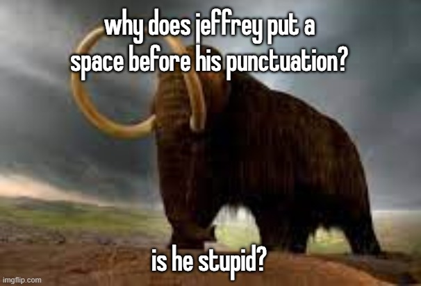 WiseMysticalMammoth 2: Electric Boogaloo | why does jeffrey put a space before his punctuation? is he stupid? | image tagged in wisemysticalmammoth 2 electric boogaloo | made w/ Imgflip meme maker