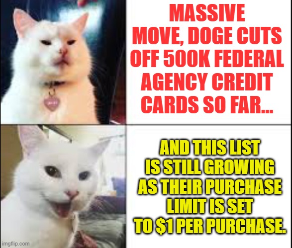 Smudge cat | MASSIVE MOVE, DOGE CUTS OFF 500K FEDERAL AGENCY CREDIT CARDS SO FAR... AND THIS LIST IS STILL GROWING AS THEIR PURCHASE LIMIT IS SET TO $1 PER PURCHASE. | image tagged in smudge cat | made w/ Imgflip meme maker