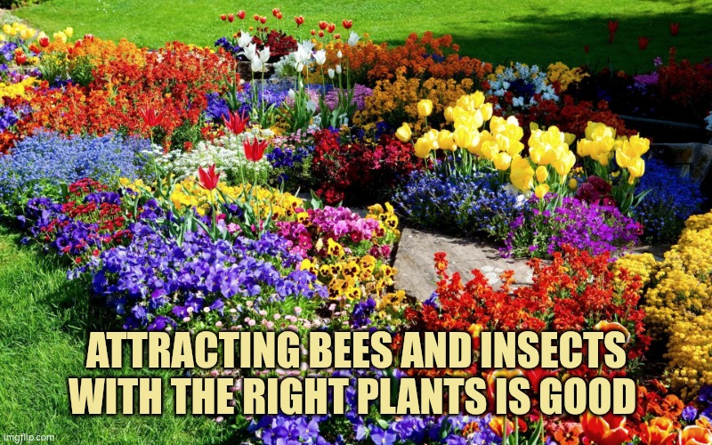 Attracting birds and insects with the right plants is good | ATTRACTING BEES AND INSECTS WITH THE RIGHT PLANTS IS GOOD | image tagged in flower garden,insects,butterflies | made w/ Imgflip meme maker