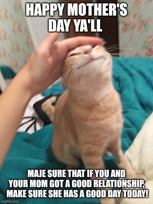 :> | HAPPY MOTHER'S DAY YA'LL; MAJE SURE THAT IF YOU AND YOUR MOM GOT A GOOD RELATIONSHIP,  MAKE SURE SHE HAS A GOOD DAY TODAY! | image tagged in cat pat | made w/ Imgflip meme maker