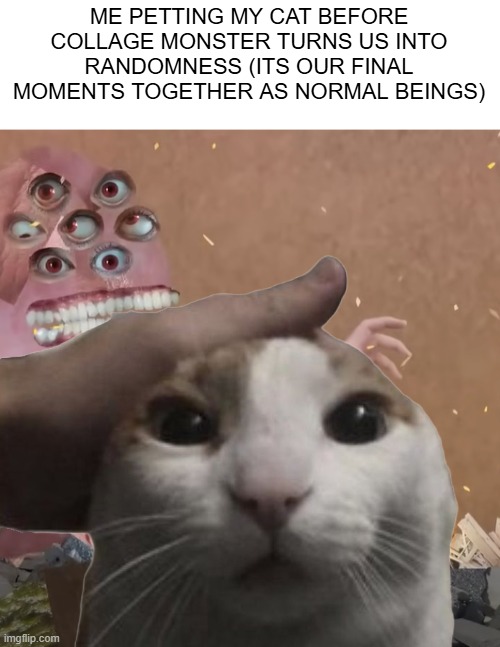 ME PETTING MY CAT BEFORE COLLAGE MONSTER TURNS US INTO RANDOMNESS (ITS OUR FINAL MOMENTS TOGETHER AS NORMAL BEINGS) | image tagged in gaming,the multi medium,multi medium | made w/ Imgflip meme maker