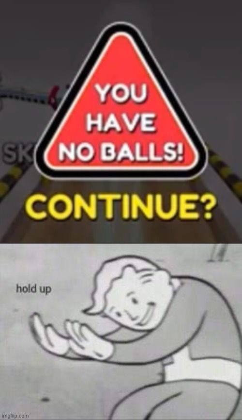 Bruh | image tagged in fallout hold up,funny,memes,balls,going balls,wtf | made w/ Imgflip meme maker
