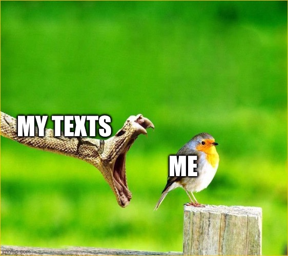 Snake Reality Bites | MY TEXTS; ME | image tagged in snake reality bites | made w/ Imgflip meme maker