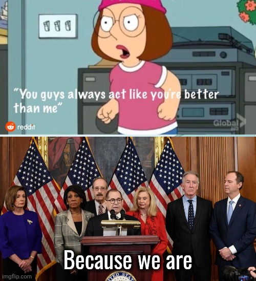 Democrat Politicians Mindset | Because we are | image tagged in you guys always act like you're better than me,house democrats,superior royalty,sad but true,elite scum,in truth | made w/ Imgflip meme maker